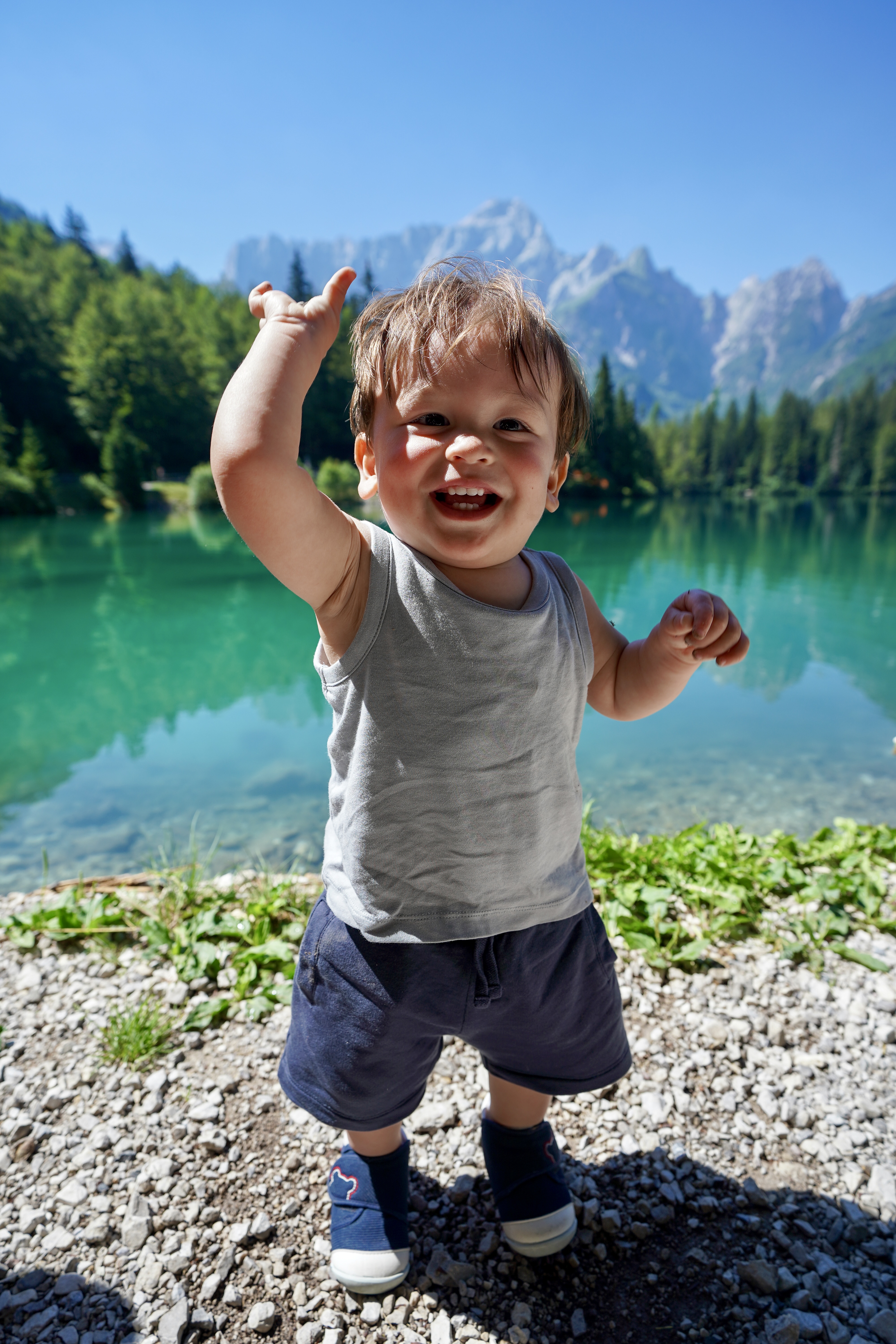 Apollo exploring beside the turquoise lake at Laghi di Fusine in Italy